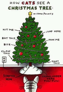 cat in christmas tree DCJA